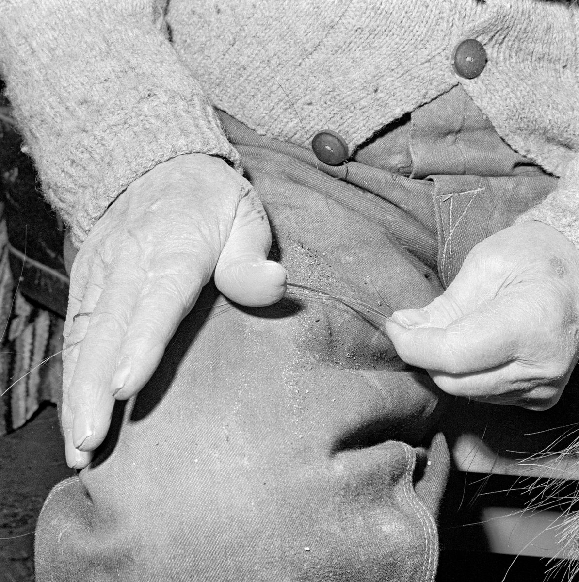 Tvinning av hestetaglsnare på Slettali i Verma i Møre og Romsdal i 1968.  Fotografiet viser en mann som holdt noen hår fra mana eller halen på en hest mellom pekefinger og tommel på ei hand mens han tvinnet dem ved skyve dem framover bukselåret ved hjelp av den andre handa. Snuing.
