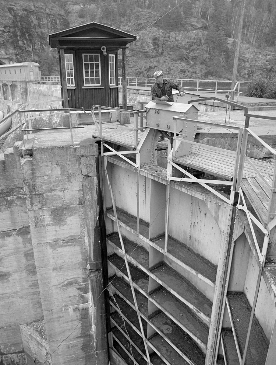Slusemester Kristian Gunneng (1920-1990), fotografert på en av sluseportene ved Brekke sluser i tidligere Berg herred, nå Halden kommune, i Østfold.  Dette lenseanlegget ble bygd i 1920-åra.  Det hadde en løftehøyde på 27 meter fordelt på fire slusekammer.  Følgelig ble slusekamrene i armert betong djupe og sluseportene i stål ble høye.  Brekke sluser hadde mekanisk manøvrering av sluseporter og av omløpsrør som ble brukt når vannmassene skulle forflyttes fra ovenforliggende til nedenforliggende slusekammer. Åpning og lukking av porter og omløpsrør ble styrt fra paneler i «kiosker» ved hver sluseport.  I tillegg til omløpsrørene hadde sluseportene ved Brekke luker som kunne åpnes og lukkes med muskelkraft, via sveiver på toppen av sluseportene, på den kassa Kristian Gunneng lente seg mot da dette fotografiet ble tatt.

Dette er det tredje sluseanlegget som ble bygd ved Brekke.  Det første, som den kjente vassdragstekniske pioneren Engebret Soot (1786-1859) hadde idéen til, ble bygd i slutten av 1850-åra av stedlig stein med rosentorv som tettingsmateriale i murverket.  Dette sluseanlegget ble ødelagt under flom alt i 1861.  I perioden 1873-1877 bygde det statlige Kanalvesenet et nytt sluseanlegg ved Brekke, også dette med fire slusekamre, men åpenbart mer solid enn det første.  Fredrikshald (Halden) kommune sikret seg fallrettigheter ved Brekke alt i 1904.  Det varte imidlertid helt til 1918 før kraftutbyggingsprosjektet her ble påbegynt.  I åra som fulgte ble det bygd en massiv betongdam ved Brekkefossen som var 110 meter lang, og som på grunn av vanskelige grunnforhold måtte få en høyde på opptil 38 meter.  Kraftverksdammen hevet med andre ord vannspeilet i den ovenforliggende delen av Stenselva kraftig, slik at det ble nødvendig å bygge et helt nytt sluseanlegg.  Dette ble altså utført i armert betong, med stålporter og hydraulisk styring.  

En liten historikk om tømmerfløting og kanaliseringsarbeid i Haldenvassdraget finnes under fanen «Opplysninger».