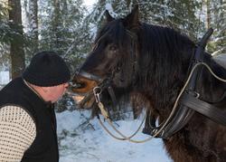 Hestekaren Ole Viktor Larsen fra Arneberg i Solør koser seg 