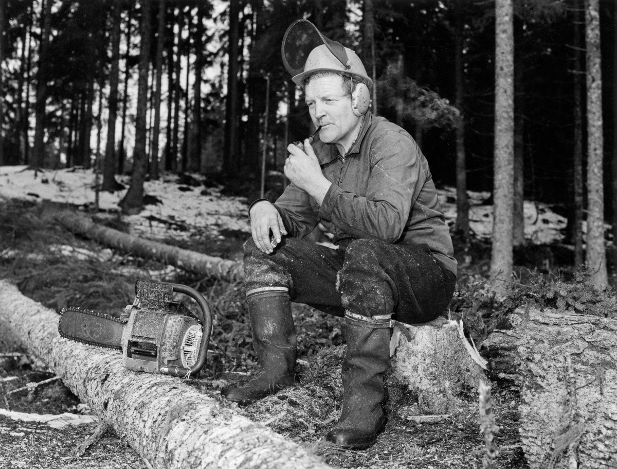 Skogsarbeideren og forfatteren Hans Børli (1918-1989) fotografert i skogen i 1969.  Børli satt på en stubbe med tobakkspipa i munnen og så tenksomt framfor seg. Han var kledd i mørke vadmelsbukser, hadde beavernylonjakke på overkroppen og hjelm med visir og øreklokker på hodet.  Fottøyet var gummistøvler, og Børli hadde festet reimer rundt støvleskaftene for å unngå å få kald snø i fottøyet.  Visiret på hjelmen var oppslått, antakelig for å gjøre det mulig for fotografen å ta et portrettbilde.  Arbeidsredskapet hans, i dette tilfellet sannsynligvis ei JoBu-motorsag av modellen «L6» sto på en kvistet granstamme framfor ham.  Hans Børli var født og oppvokst på et lite, avsidesliggende bruk i Eidskog i Sør-Hedmark.  Han hadde skogsarbeid som hovedyrke, men var også en meget produktiv forfatter.  Han gav ut 23 diktsamlinger (+ 3 utgivelser som kom posthumt), og det er først og fremst som lyriker han har høstet anerkjennelse.  Men Børli har også utgitt litteratur av mer fortellende karakter, herunder også en sjølbiografi.  Mye av det han skrev hentet motiver fra det miljøet han levde og arbeidet i, og han omtales derfor ofte som «skogens dikter», en identitet fotografen tydeligvis har forsøkt å underbygge med dette bildet.  Børli var ellers en samfunnsengasjert mann, og han skrev også om livssyn, angst og død.  Mange av diktene hans har fått melodier, og noen er oversatt til andre språk.  Børli fikk Kritikerprisen i 1970 og Dobloug-prisen i 1972.  Tidlig på 1970-tallet var han også nominert til Nordisk råds litteraturpris.