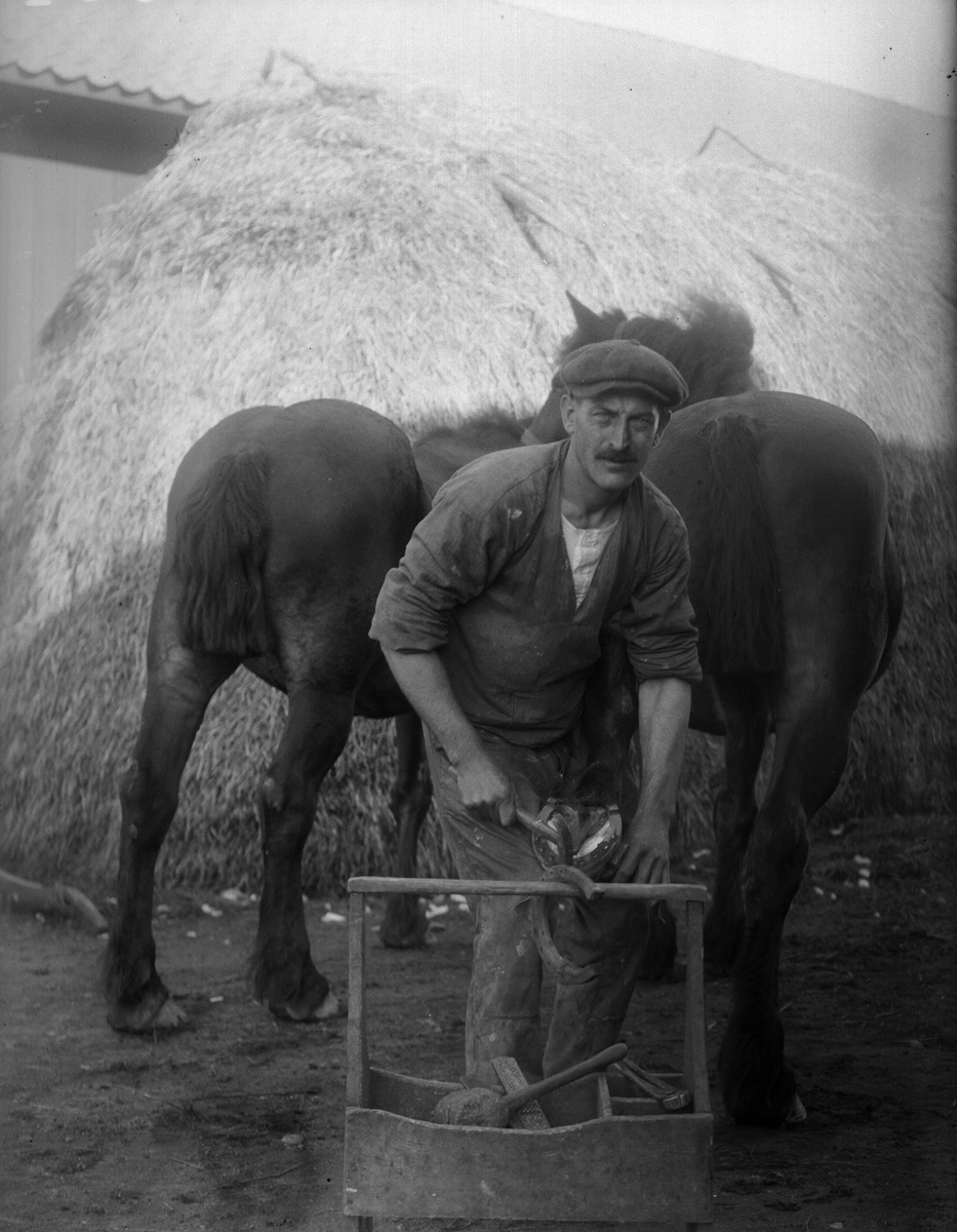 "Hovslagare Gustav Vallin Södervad Fjärdhundra med 2 hästar", Simtuna socken, Uppland 1921