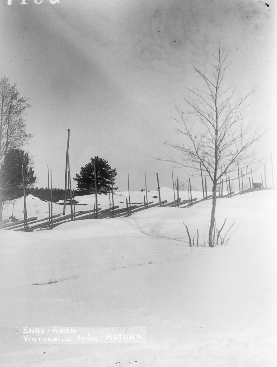 Enby-åsen. Vinterbild från Altuna, Uppland 1922