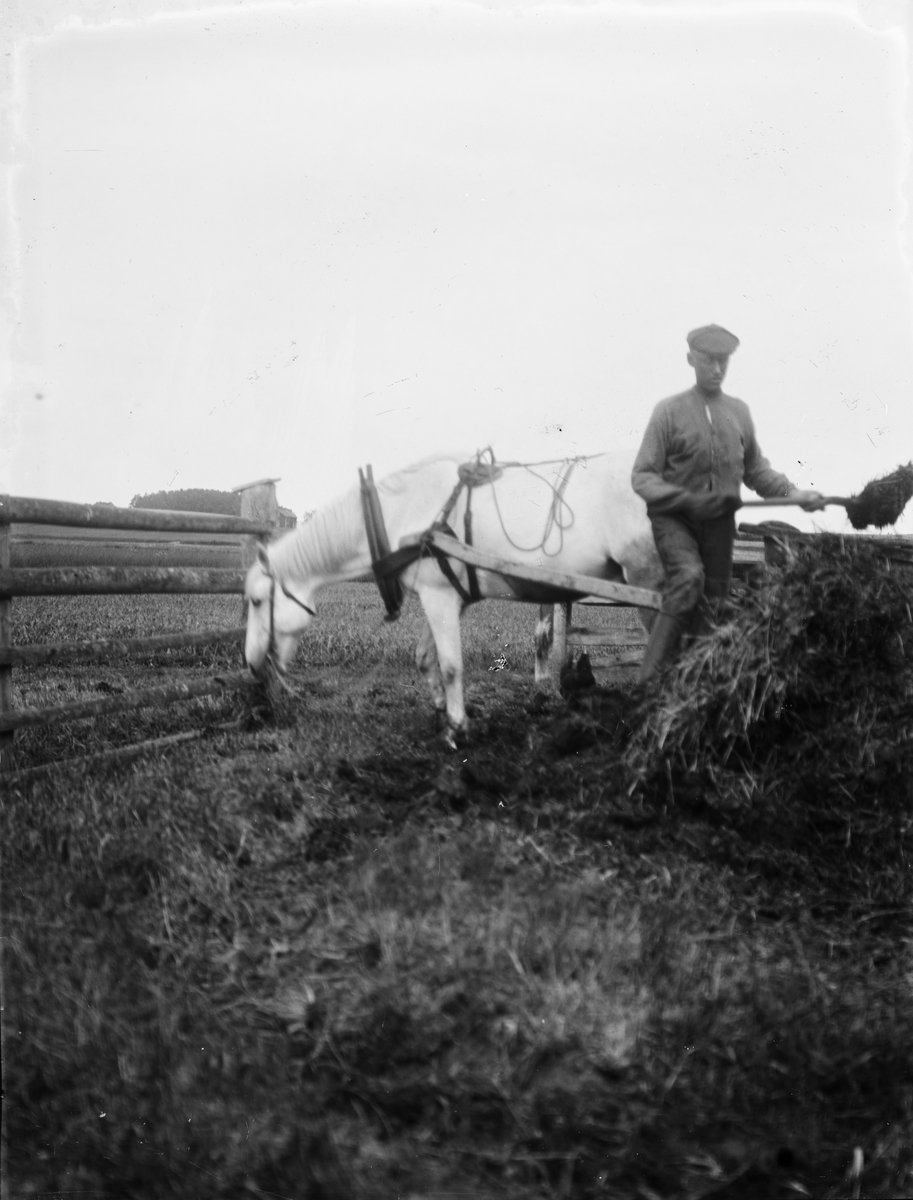 Jordbruksarbete med häst, sannolikt Sävasta, Altuna socken, Uppland