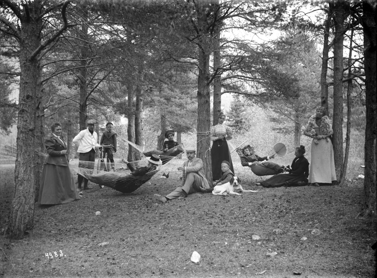 Kort.: N.Fron. 12.8.1899. Hr.Thoens grup i skogen ved Furuheim. Gruppebilde, kvinner, menn, gutt på sykkel, gutt med hund, hengekøyer, furutrær.