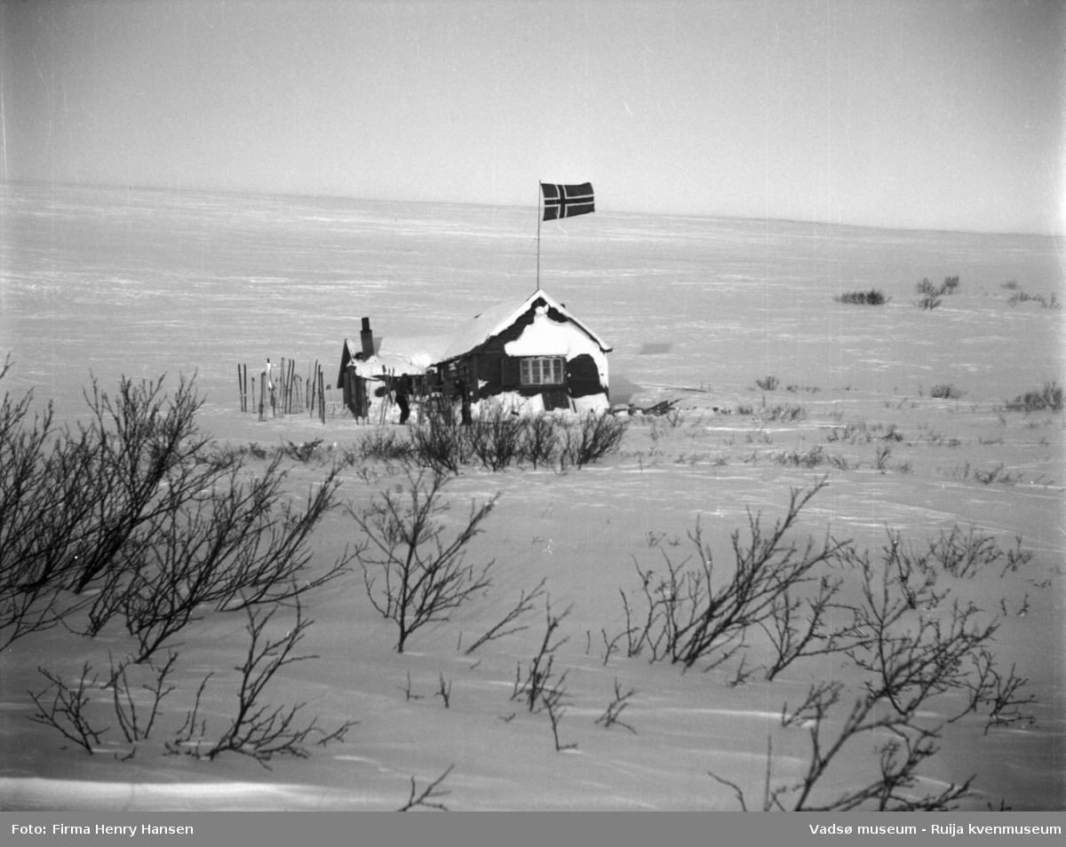 Vinikka. Vinterlandskap. Bildet viser Vinikkahytta med flagget vaiende og ski, skiløpere utenfor hytta.