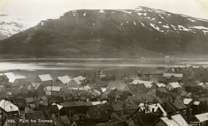 Bybilde av Tromsø med havna, og Fløya i bakgrunnen. - Museum Nord ...