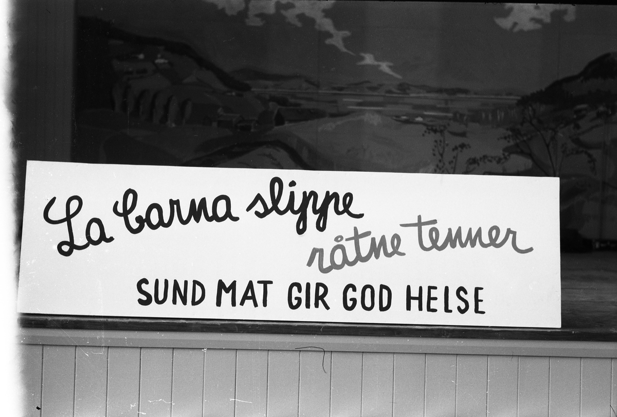 Serie på 29 bilder fra hagebruks- og kostholdsmesse i Østre Toten Festivitetslokale 3-5. november 1953. Motivene er i hovedsak plakater, men også noen interiørbilder fra storsalen i "Teten".