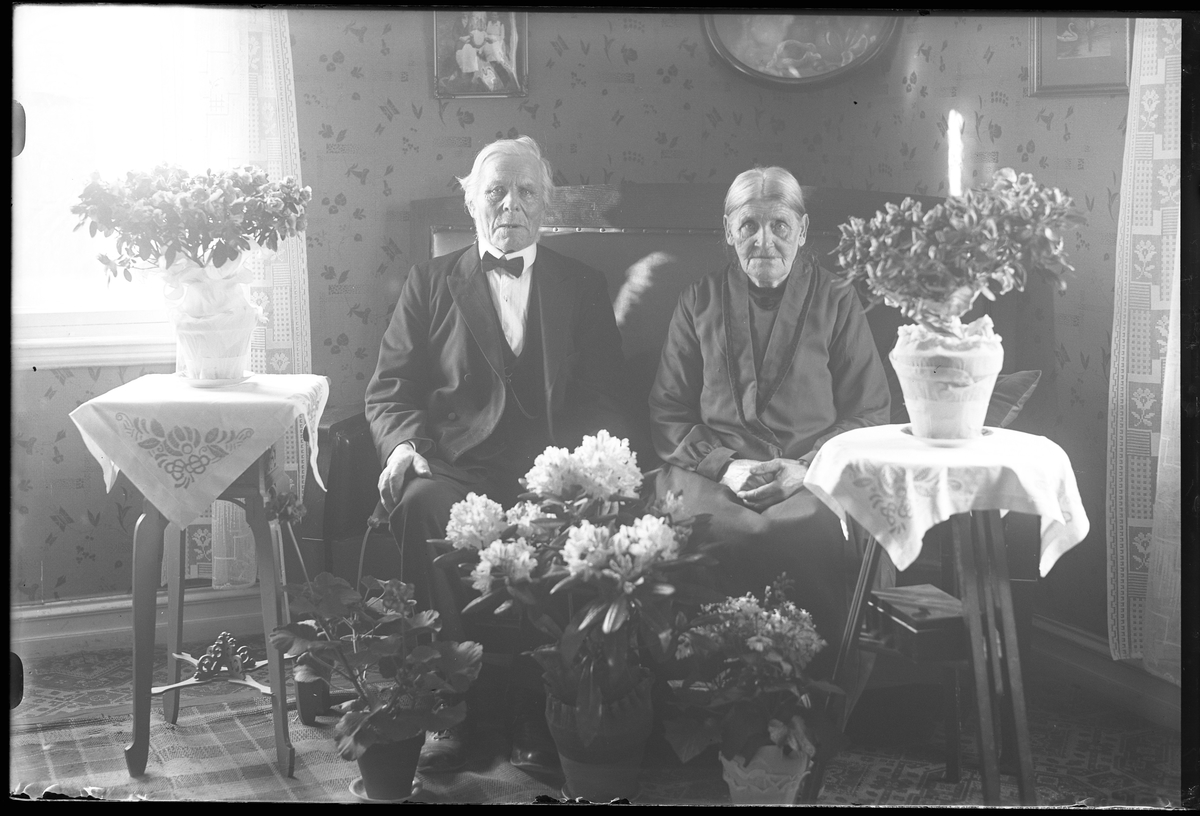 En man och en kvinna fotograferade i samband med sitt guldbröllop. De sitter bredvid varandra i en soffa och runt om dem står blommor. I fotografens egna anteckningar står det "Åkermanns guldbröllop" och syftar på August Andersson och Kristina Åkerman i Prästeryd.