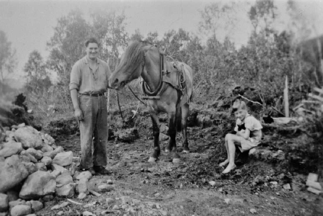 Leirfjord, Leira, Leirosen. Bureisingsbruket Solheim. Hans Hansen i arbeid med hesten Tor rundt 1944. Sønnen Henry sitter med katten på fanget.
Bildet er brukt i Leirfjordkalenderen - desember 1991