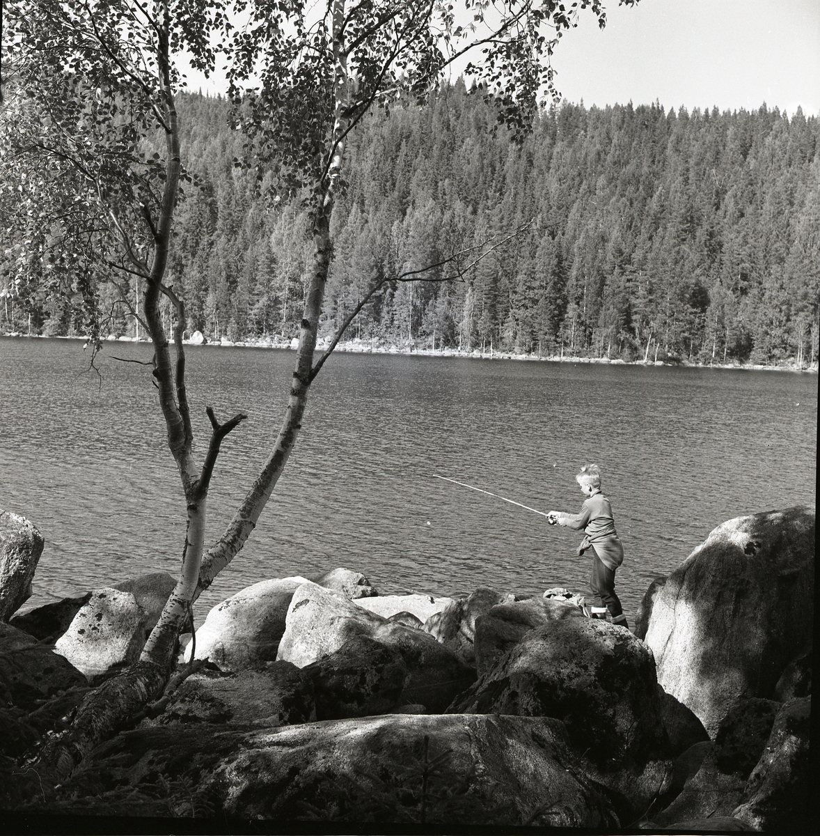 Pojke fiskar vid sjön Mjusen 21 augusti 1958. Han står på stora stenar vid strandkanten.