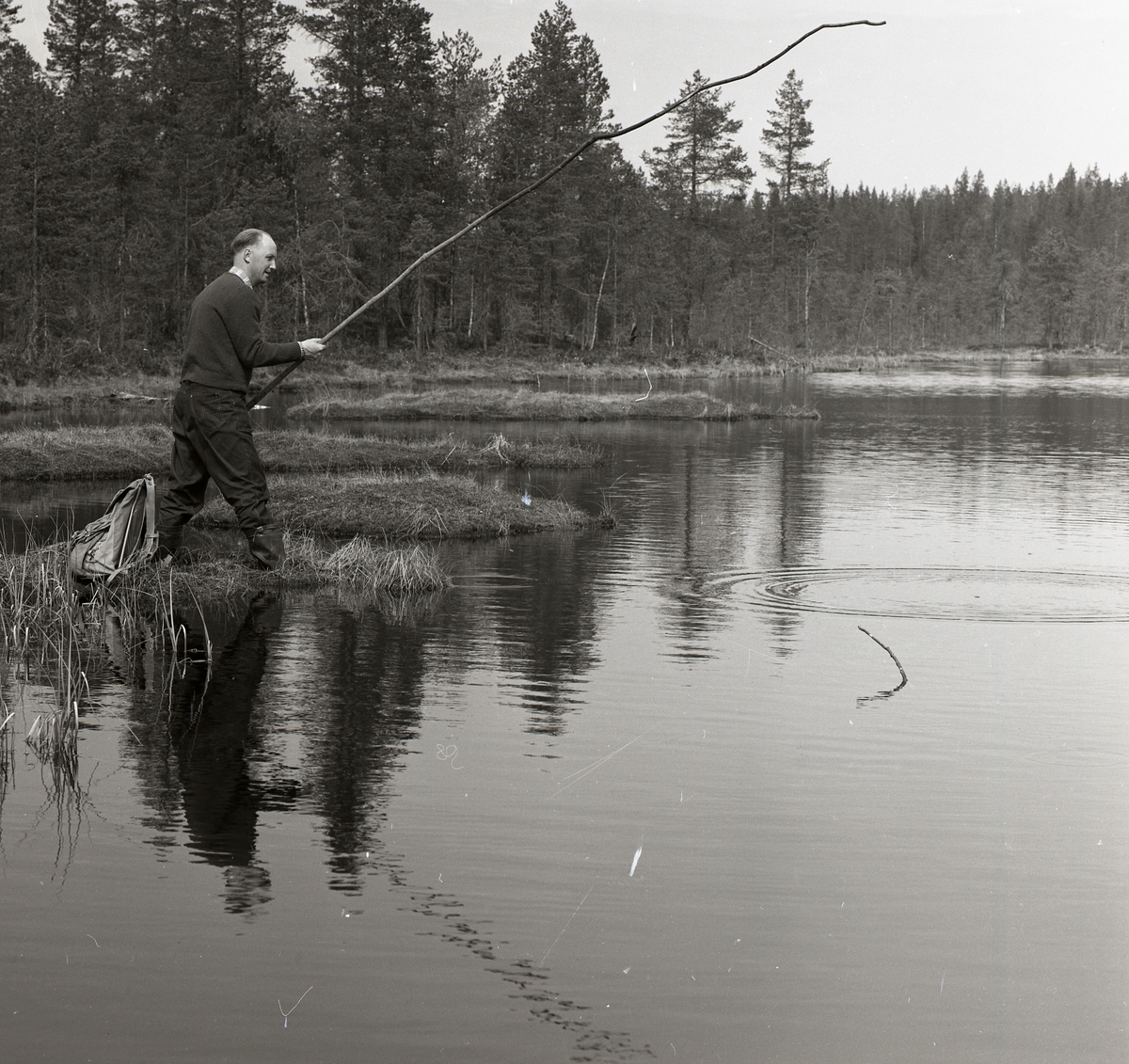 En man metar i en tjärn vid Alfta södra finnskog 1964.