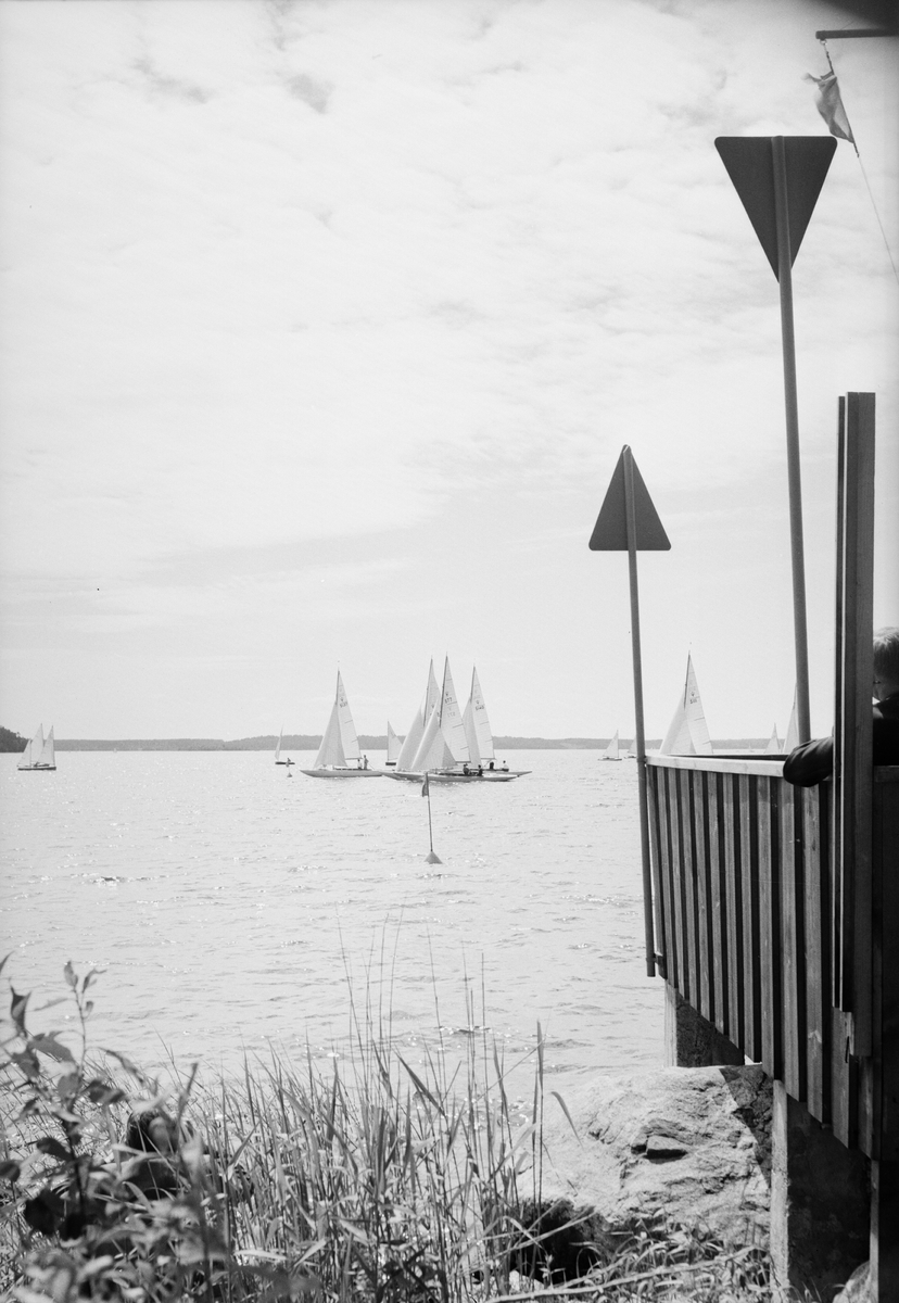 Segling, Ekolns Segelklubb, Uppland, augusti 1952