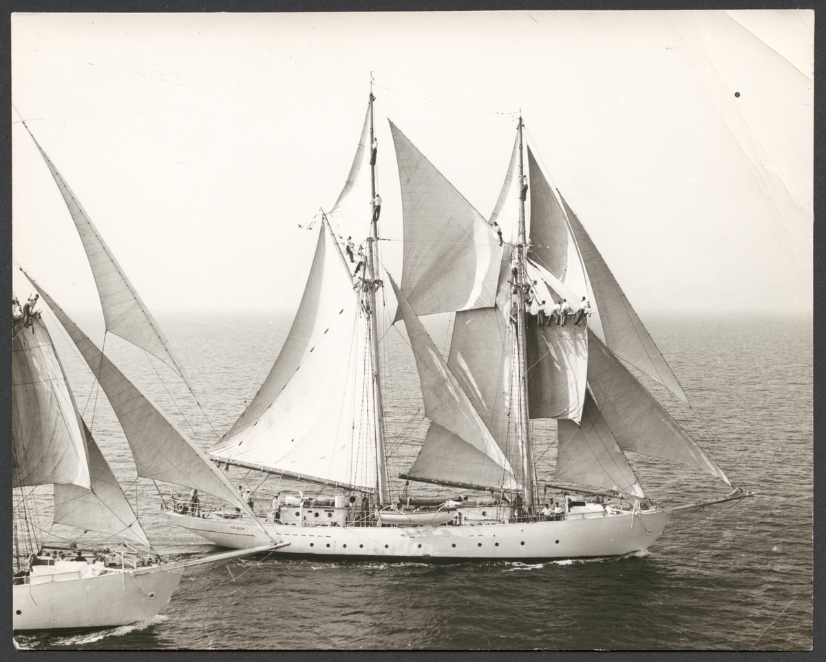 Flygbild av skolskeppen Gladan och Falken till havs. Båda fartyg har alla segel satt och gör måttlig fart. Från Gladan ser man bara förskeppet på bildens vänster sida. I riggen arbetar sjömän med att sätta eller bärga segel.
