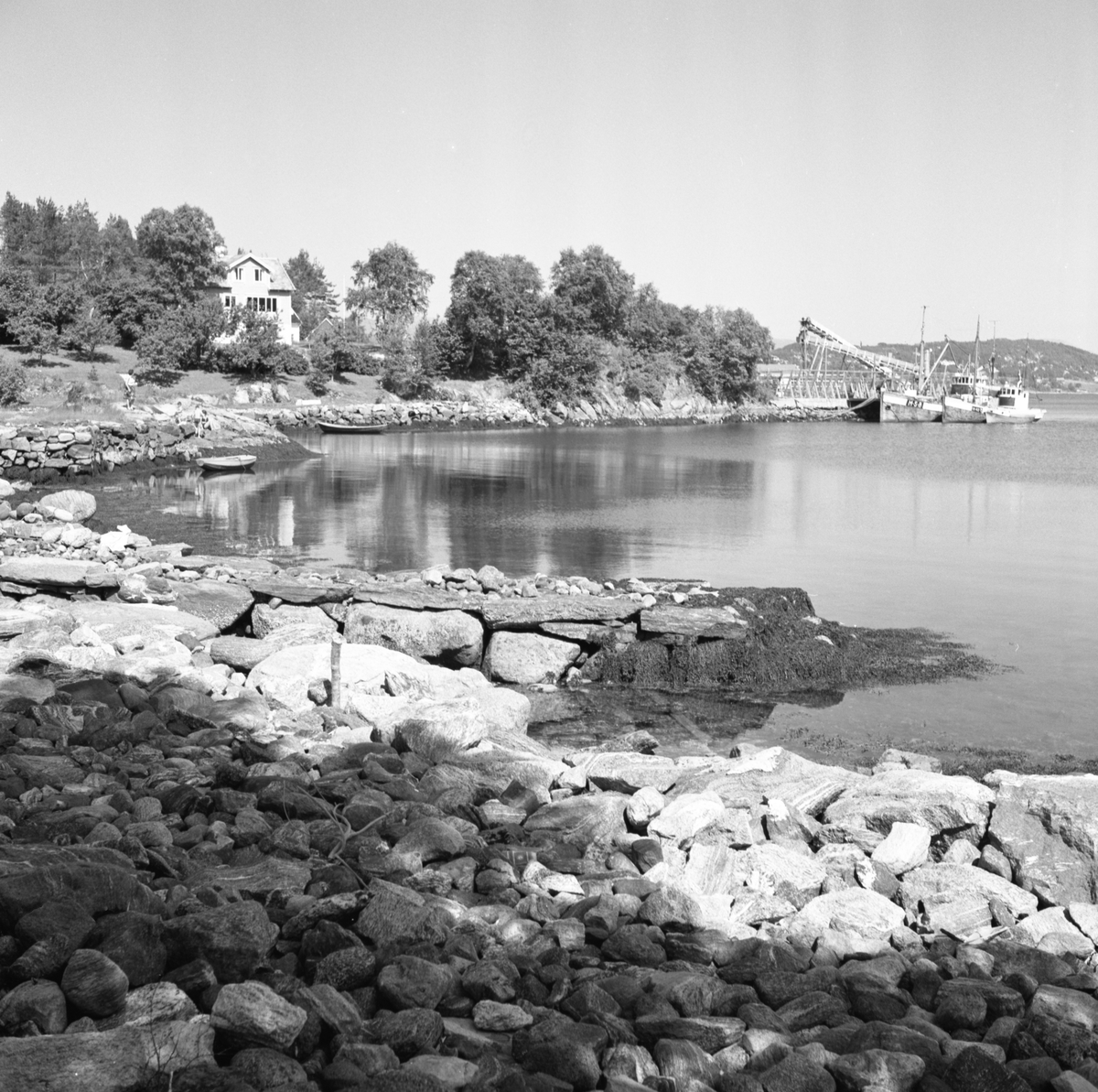 Prospektfotografi av strandlinja på Vågneset med fiskebåter i havn ved et fiskeanlegg?