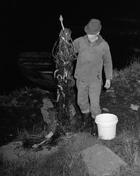 Svein Gammeltorp fra Grue Finnskog poserer med et fiskegarn 