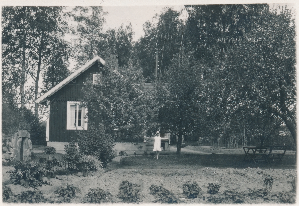 Banvakt stuga Nr 310,  nästan sol hängbjörk och fruktträd. Byggd 1875 Riven 1967.