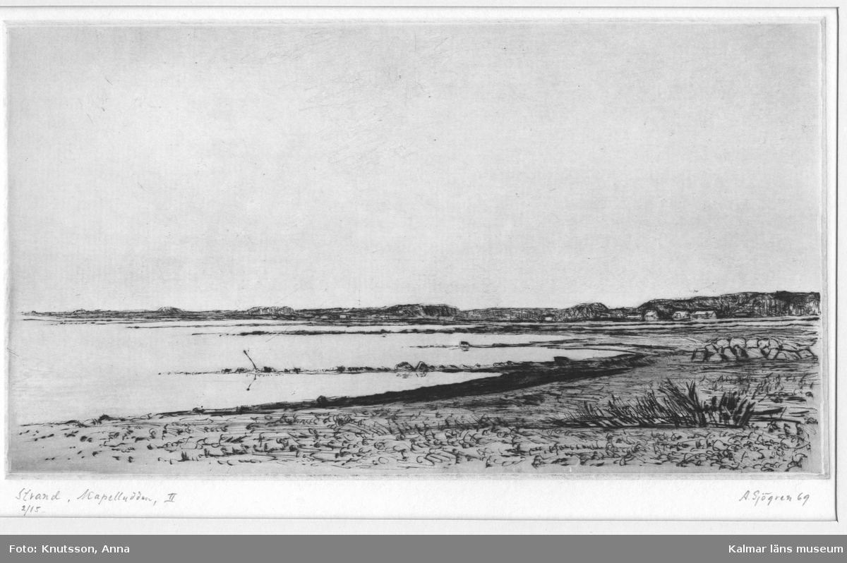 Strand och hav, samt med några hus i bakgrunden, vid Kapelludden, Öland.