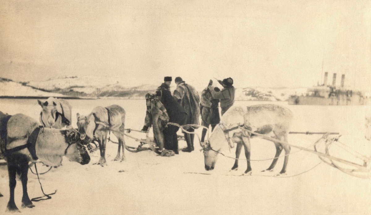 Klargjøring til reinsdyrskyss på isen ved Jarfjord 1918. 
