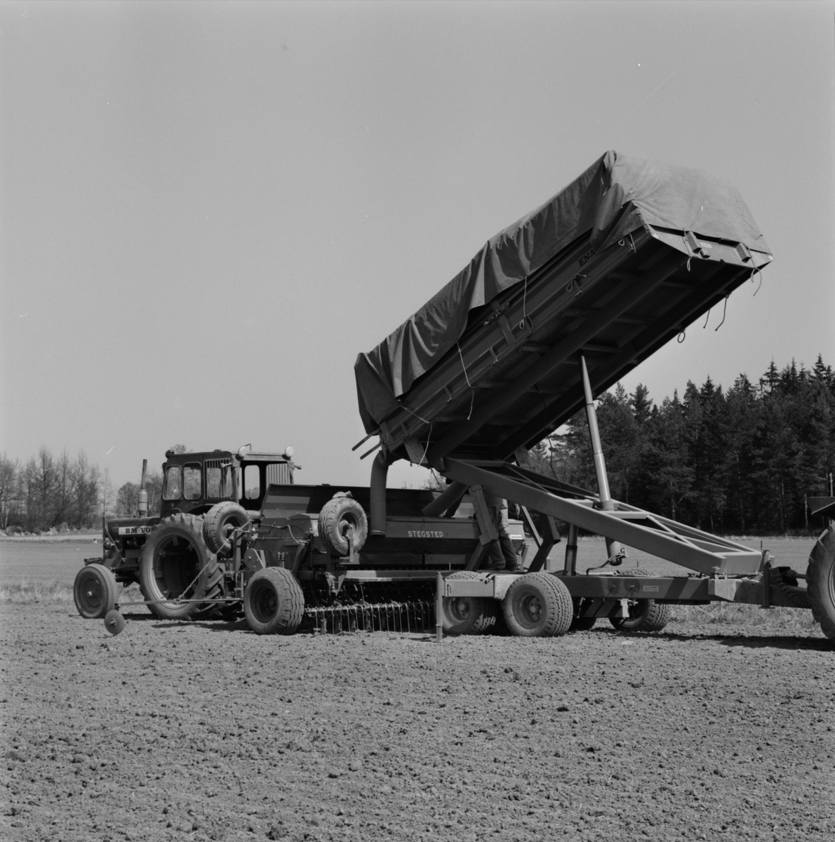 Traktorförare Folke Sundnäs fyller kombisåmaskinen från en högtippande kärra, Hacksta gård, Enköpings-Näs socken, Uppland maj 1981
