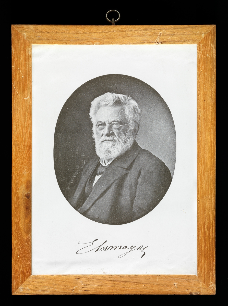 Portrett av den forstlige jordsmonn- og vekstklimaeksperten Wilhelm Ferdinand Ernst Ebermayer (1829-1908).  Det dreier seg om en litografisk gjengivelse av et fotografi, som viser Ernst Ebermayer, kledd i mørk dressjakke med kvit skjorte med svart tversoversløyfe i halsen.  Da dette fotografiet ble tatt hadde Ebermayer grålig helskjegg og hår som var gredd fra venstre mot høyre, litt tynt på den fremre delen av skallen.  Han hadde metallinnfattete briller.  Fotografiet som ligger til grunn for dette bildet er åpenbart tatt i et studio.  Vi ser skuldrene og hodet til Ebermayer mot en grålig bakgrunn. 

Den forstlige jordsmonn- og vekstklimaeksperten Wilhelm Ferdinand Ernst Ebermayer (1829-1908) ble oftest omtalt som Ernst Ebermayer.  Som ung studerte han kjemi og naturhistorie i München.  Der satt han blant annet under kateteret til Justus von Liebig, kjent som en av tidenes bestydeligste pedagoger innen kjemien, og for å ha oppdaget nitrogenets betydning som plantenæringsstoff.  Ebelmayer markerte seg som en evnerik ung mann, og etter endte studier fikk han raskt en stilling landbruksskole.  Mens han var der fullførte han doktorgradsarbeidet sitt.  I 1858 ble han ansatt ved det kjente forstakademiet i Aschaffenburg, hvor han etter tre år ble forfremmet til professor.  I denne stillingen utviklet han planer for et skogfaglig forsøksvesen, der man ved hjelp av moderne forskingsmetoder fra fysikken og kjemien skulle finne svarene på de naturvitenskapelige spørsmålene som knyttet seg til det rasjonelle skogbruket.  Inspirert av sin lærer Justus von Liebig orienterte han seg særlig mot den vekstfaktoren jordsmonnet er.  Han analyserte kjemien i humus og skogstrø, og studerte effekter på trærnes vekst.  Ebermayer satte også i gang omfattende meteorologiske undersøkelser i ulike typer skog.  Ebermayer formidlet observasjonene og fortolkningene sine i ei lita bok med tittelen «Die physikalischen Einwiklungen des Waldes af Luft und Boden» (1873).  Seinere begynte han også på et større arbeid om det naturfaglige grunnlaget for jord- og skogbruket (Naturgezetsliche Grundlagen des Wald-und Ackerbaus»), men han fullførte bare ett bind i dette, som var planlagt som en bokserie.  Ebermayers undersøkelsesmetodikk ble forbilder for liknende analyser i flere andre land, blant annet i Preussen, Østerrike, Sveits og Sverige.  Pionerinnsatsen til Ebermayer på det forstklimatiske fagfeltet førte til at han ble karakterisert som «Vater der Forstmeteorologie» (forstmeteorologiens far). 