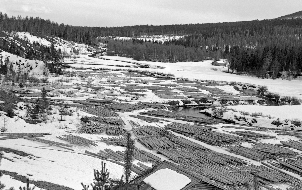 Tømmertillegging ved Brattveltdammen i Julussvassdraget i Elverum kommune i Hedmark. Fotografiet er tatt seint på vinteren i 1961, fra et høyt punkt i terrenget, som gav fotografen god oversikt over det tømmeret som var levert på dette stedet. Brattveltdammen var plassert på et sted der elva - stikk i strid med de assisiasjonene navnet gir - slynget seg over ei forholdsvis flat slette, der det sommerstid ble tatt høstet gras som skulle tørkes og brukes som vinterfôr. Til høyre, litt i bakgrunnen, skimter vi ei løe som ble brukt til oppbevaring av høy inntil sledeføret ble såpass bra at det var overkommelig å hente det ned til bygda. I løpet av vinteren hadde tømmerkjørerne  transportert store mengder tømmer, som ble lagt i lave floer på de snødekte engarealene. Dette ble gjort i visshet om at når våren kom, så ville Brattveltdammen, som lå i ytterenden av dette arealet, bli stengt, slik at flomvannet oversvømte engene og løftet tømmeret, som dermed ble båret av oppdriften i vannet videre nedover vassdraget.