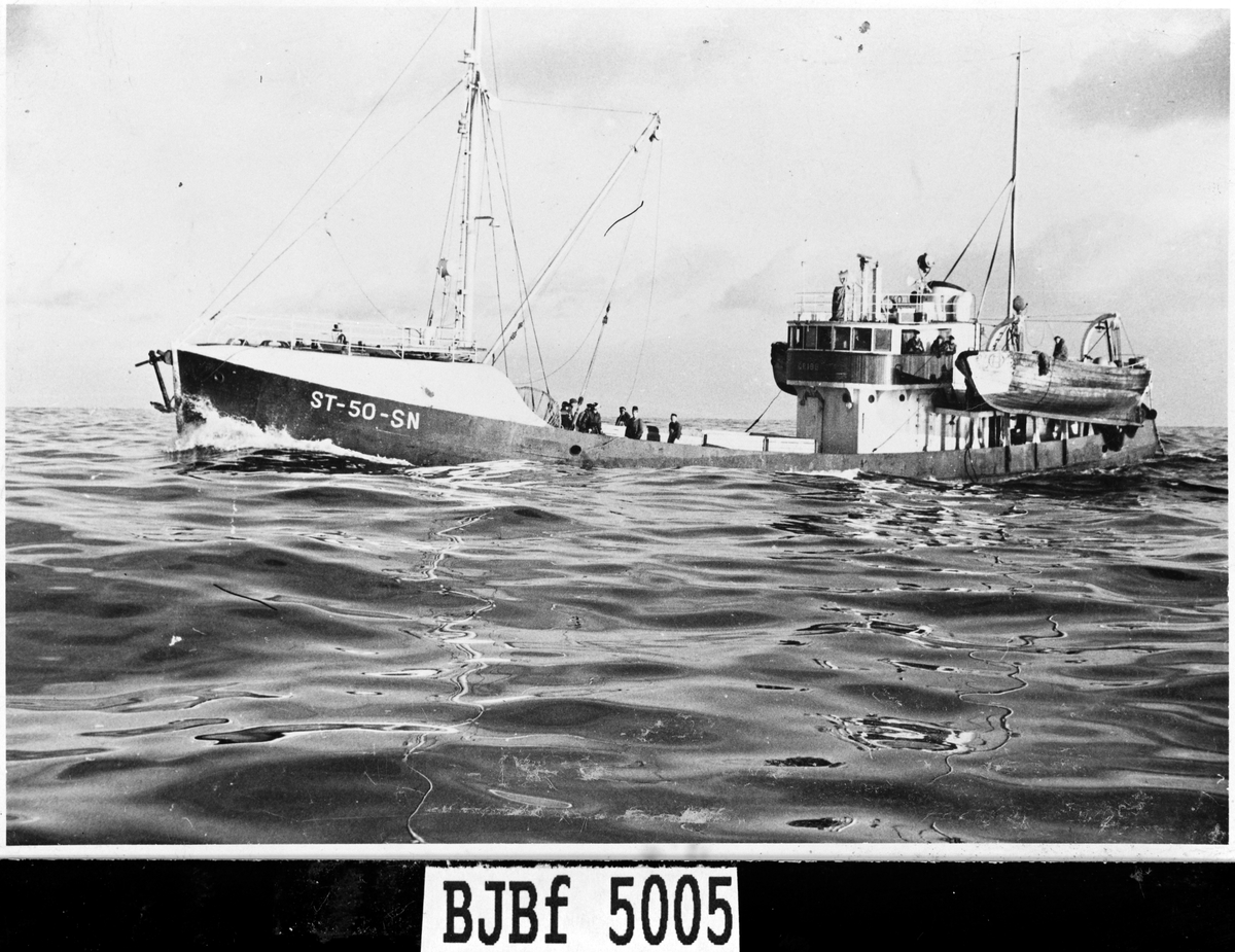 Fiskebåten M/K Gribb på vei til lands full lastet., tilhørende Stjørna.