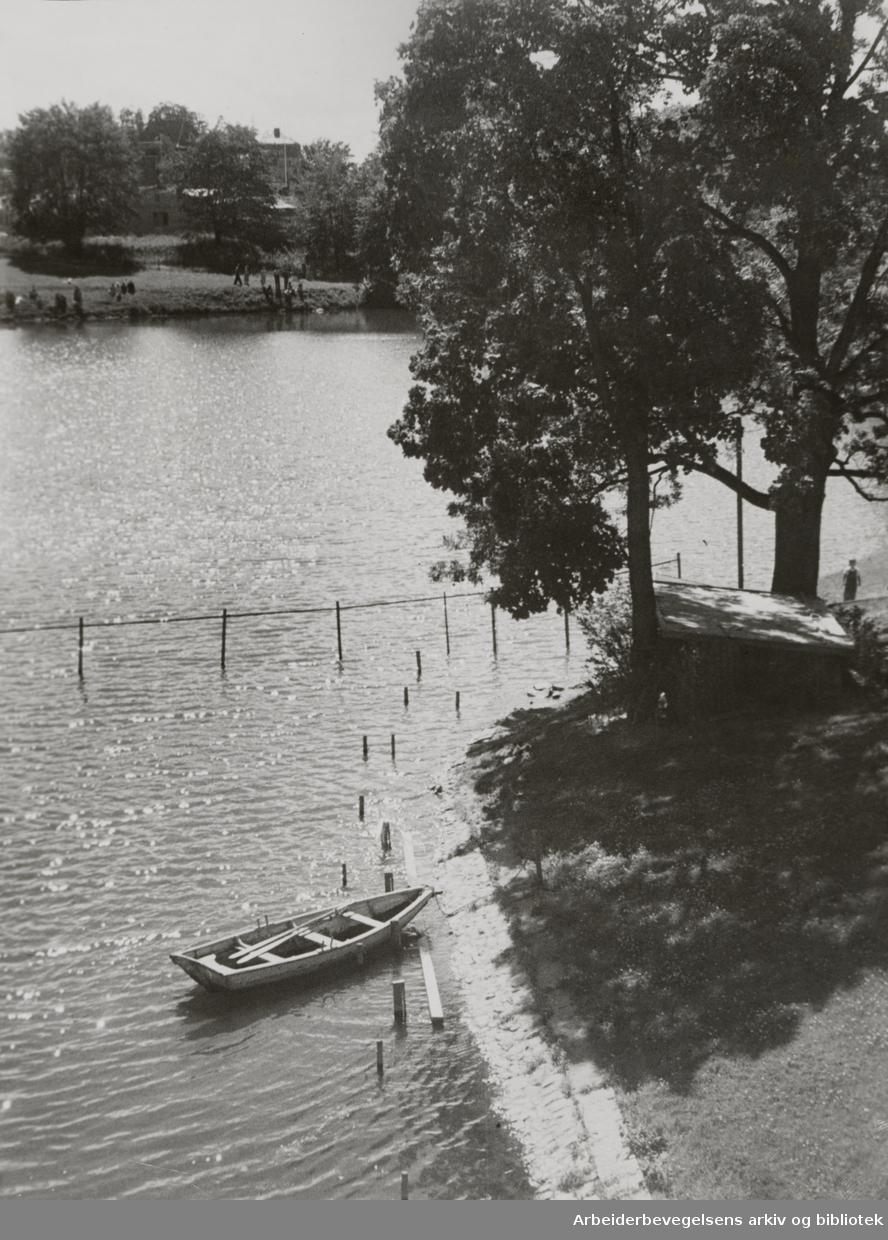 Frognerparken. 1949