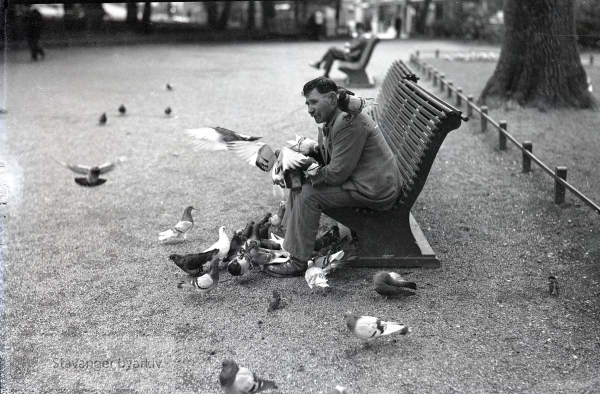 Mann sitter på benk og mater fuglene.