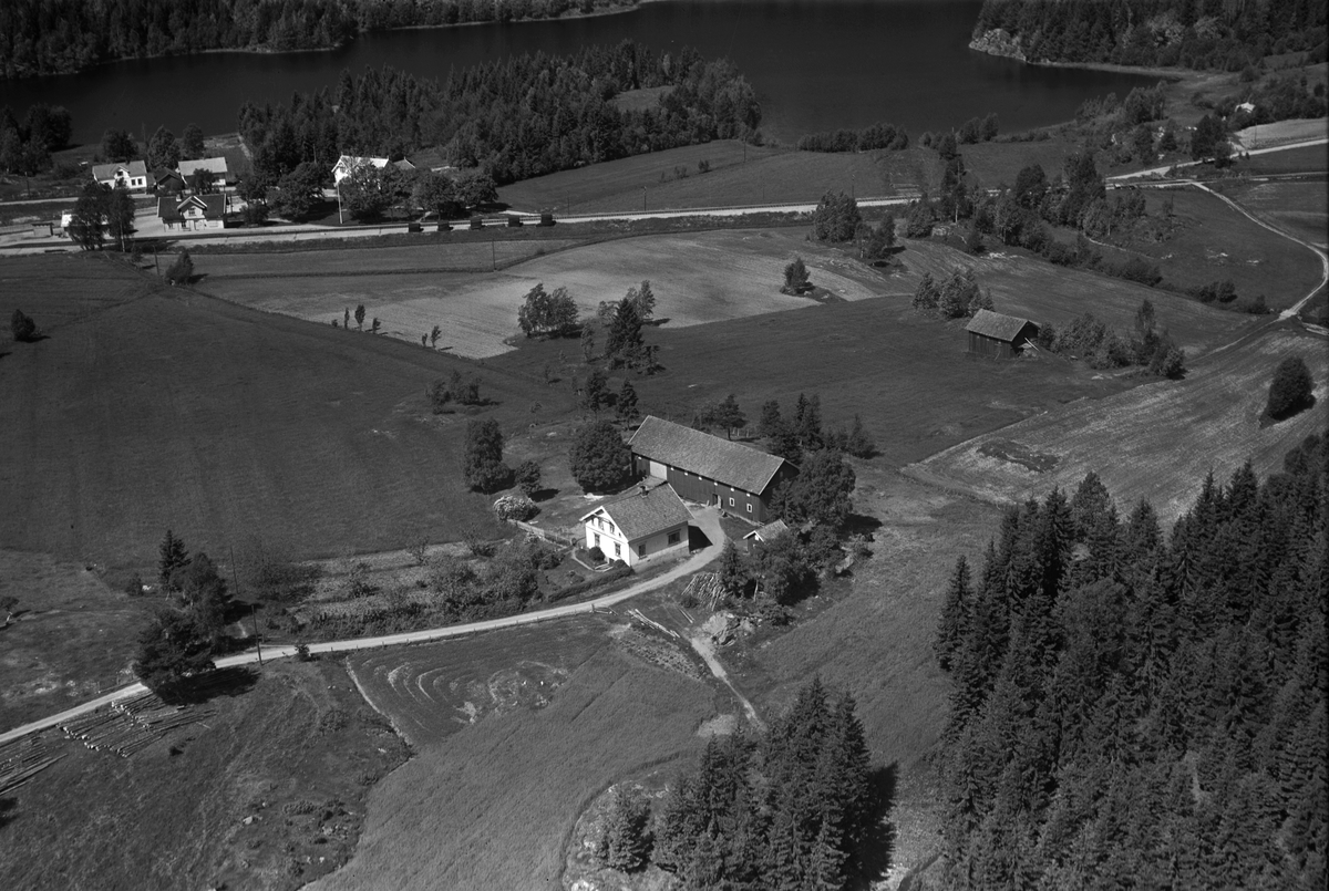 Flyfotoarkiv fra Fjellanger Widerøe AS, fra Porsgrunn Kommune.  Bjørkedalen, Eidanger . Fotografert av Vilhelm Skappel, 14.06.1953.
