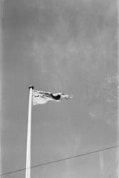 RAF flagget i campen