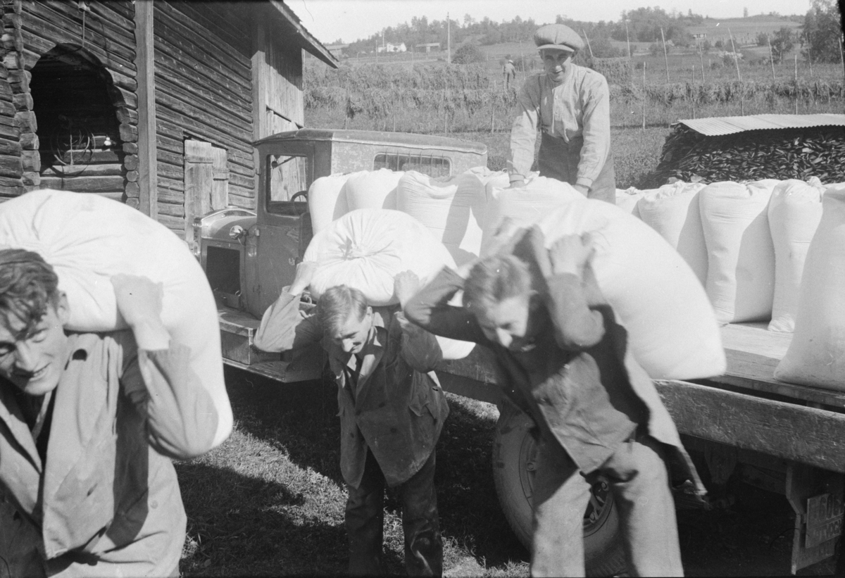 Tre menn bærer inn 100 kilos sekker med hvetemel fra lastebil til butikken på Linjordet
Hvis registreringsnummeret er E-6061 er lastebilen en Reo Speedwagon 1931 mod.  tilhørende Gausdal Bilselskap  i Fåberg