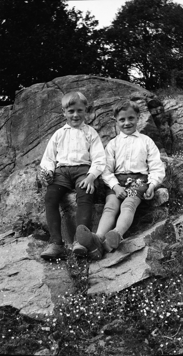 Två små pojkar sitter på en berghäll med varsin blombukett i handen. De är klädda likadant i skjortor, kortbyxor, strumpor och skor.