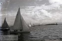 Seilforeningen 1925, regatta