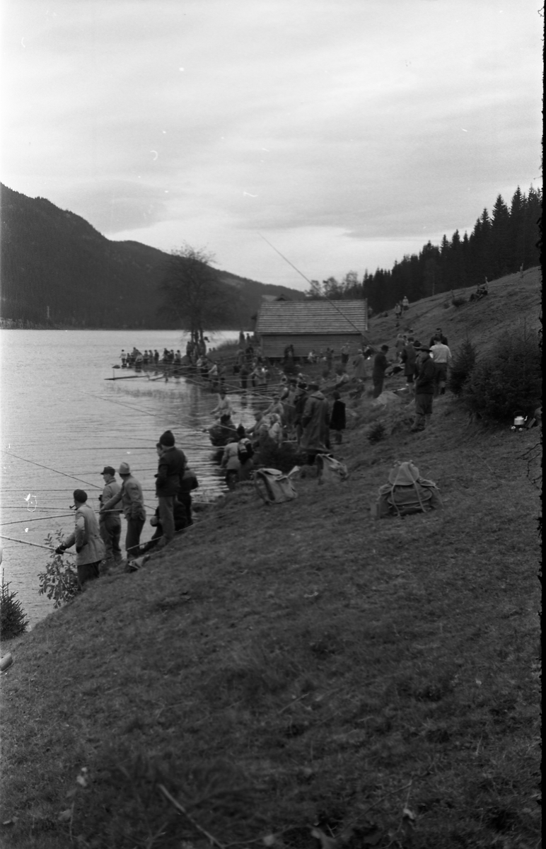 Serie på 24 bilder fra fiskekonkurranse ved Skjeppsjøen på Totenåsen høsten 1957.