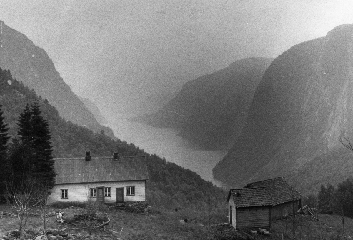 Utsikt over gården Rød og Tyssefjorden i Suldal.