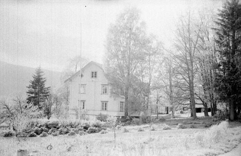 Gausdal. Bjørneng gård. Hvit hovedbygning med trær rundt. Vinter.