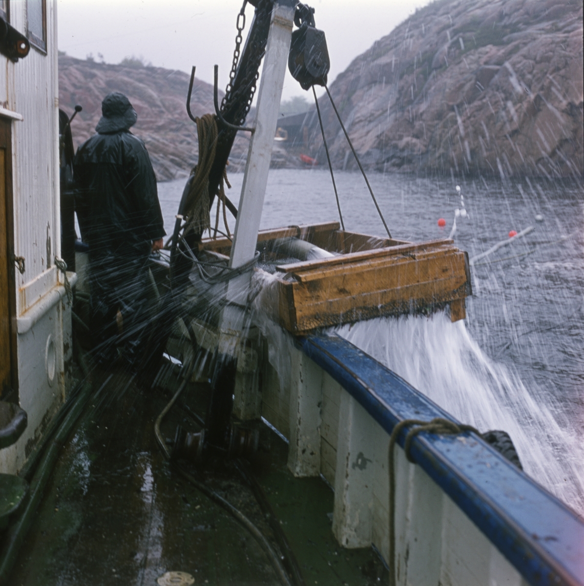 En elefanttann eller crevell blir tatt ombord i båten utgravingen av slaveskipet 'Fredensborg' i 1975