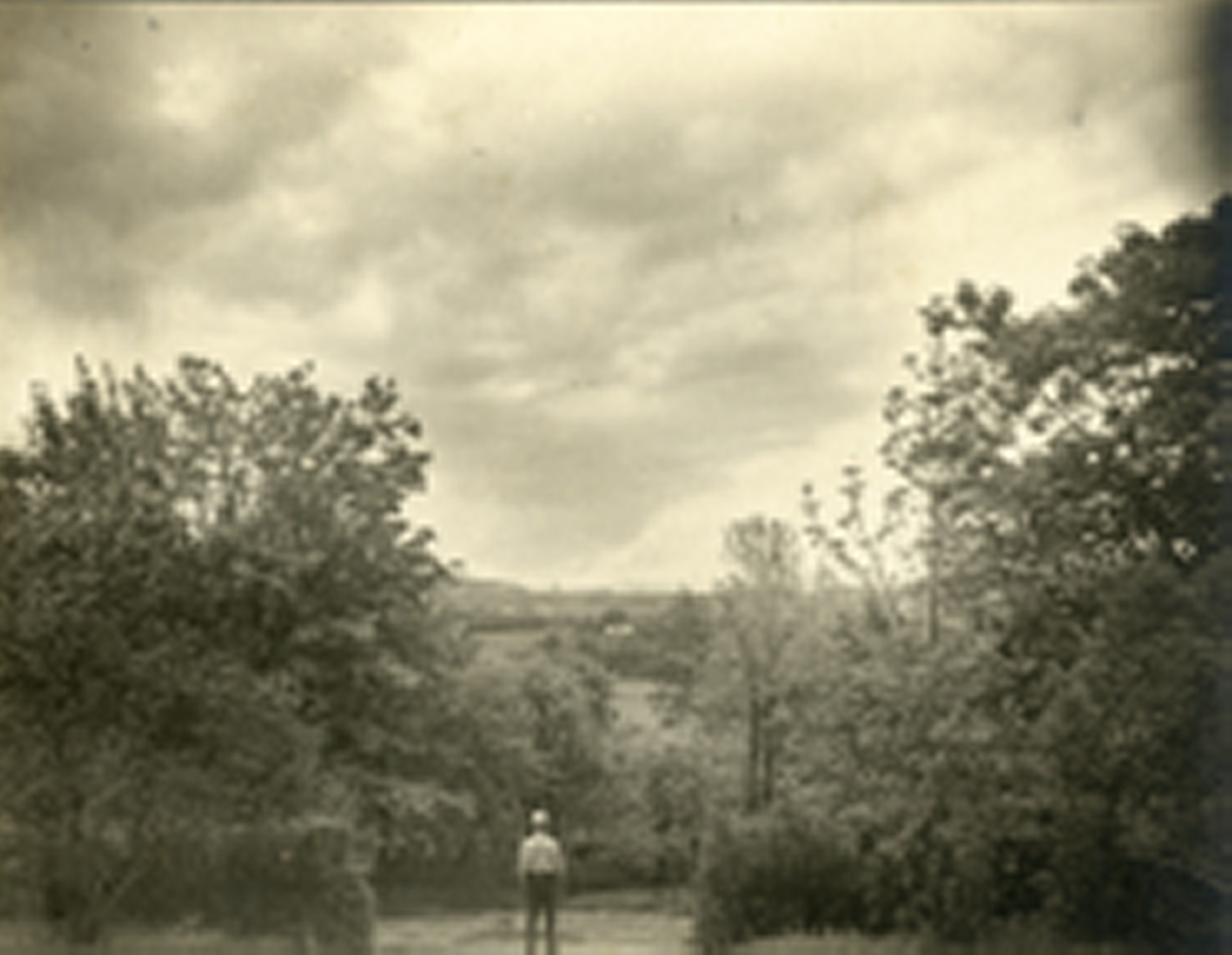 Bildet tatt fra Ringve gård, fra trappeavsatsen nedenfor Hovedbygningens sydfasade. Viser parken. Midt i bildet er det en gutt som ser utover landskapet.
