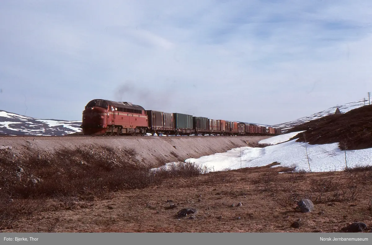 Diesellokomotiv Di 3 607 med nordgående godstog 5791 ved Polarsirkelen