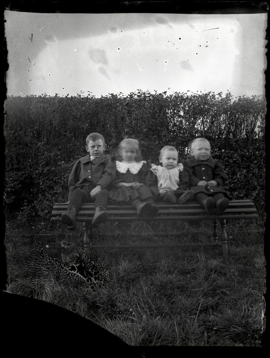 Barnen Adolf, Ester, Nils och Anders Bergman