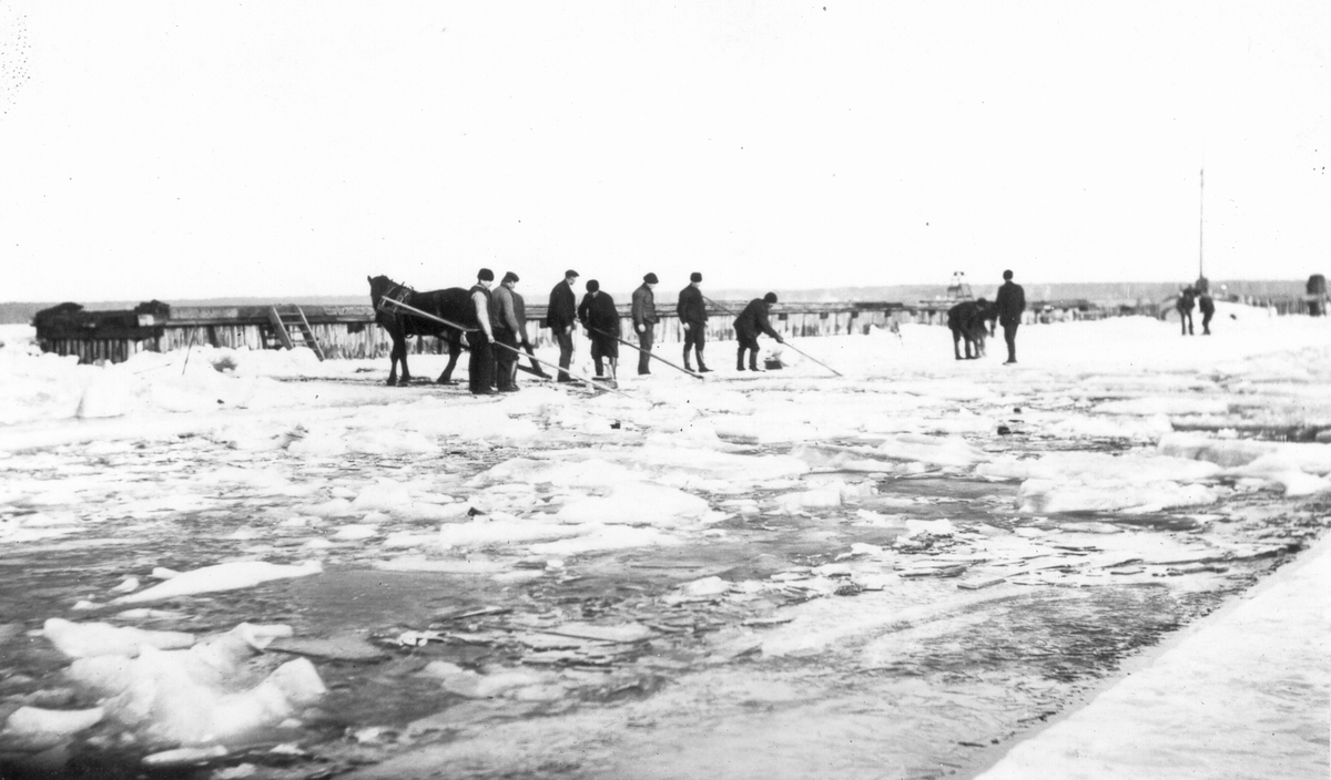 Sågning av isränna i isen för slipvagn, vid Gävle Varv.