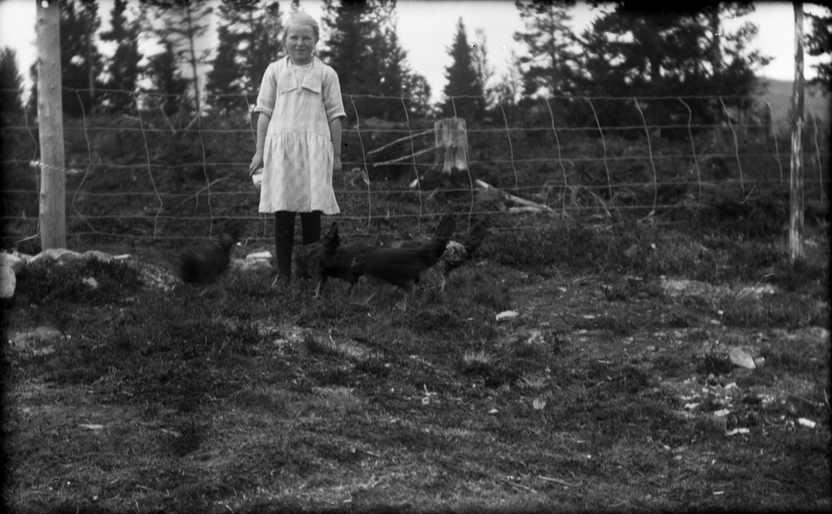 Jente med høner