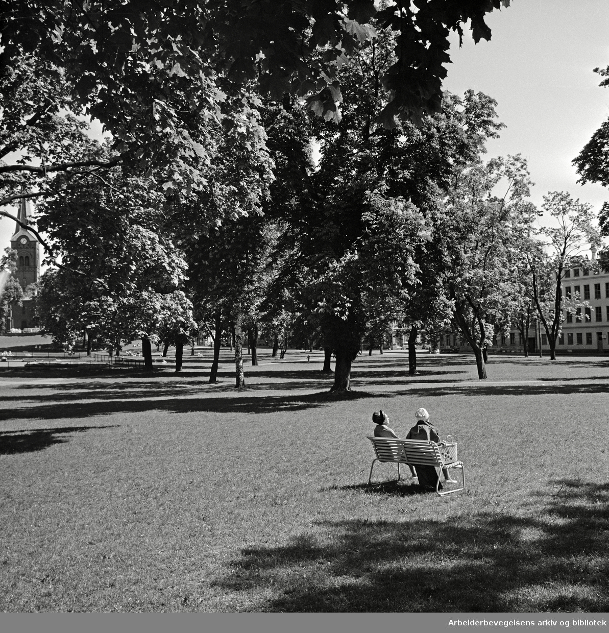 Sofienberg-parken. Juni 1967.