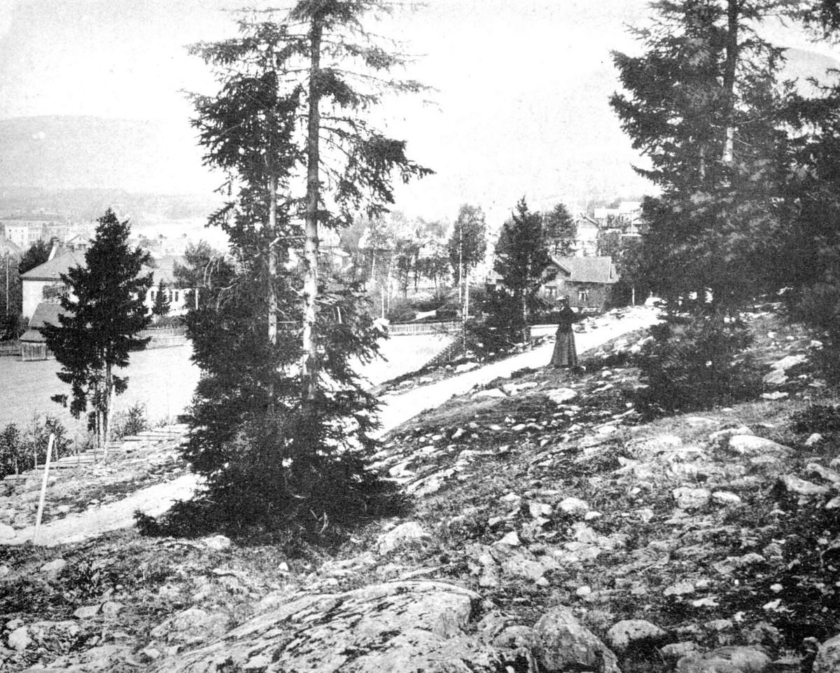 Lillehammer, Søndre bydel, sett fra Maihaugen. Utsnitt av bilde SS-SF-177.