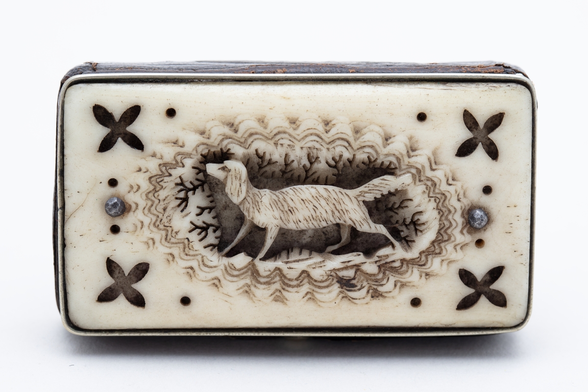 Snusdåse, stål trukket med skinn, lokk utskåret ben, hund i midten. Muligens 1840-årene fra Sørfondens samling.