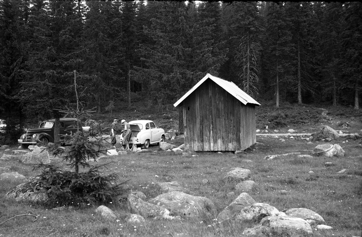 Karine Røisli og Ole Majer ved Oles bil. Stedet er ikke sikkert identifisert, men kan muligens være like syd for Nygard i lodd nr.3 på Totenåsen.. August 1960.