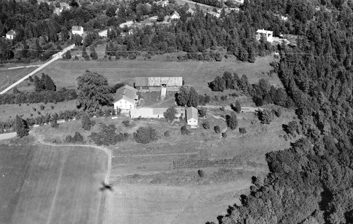 Flyfotoarkiv fra Fjellanger Widerøe AS, fra Porsgrunn Kommune, Søndre Tveten Gård. Fotografert 30/07-1951. Fotograf Otto Hansen