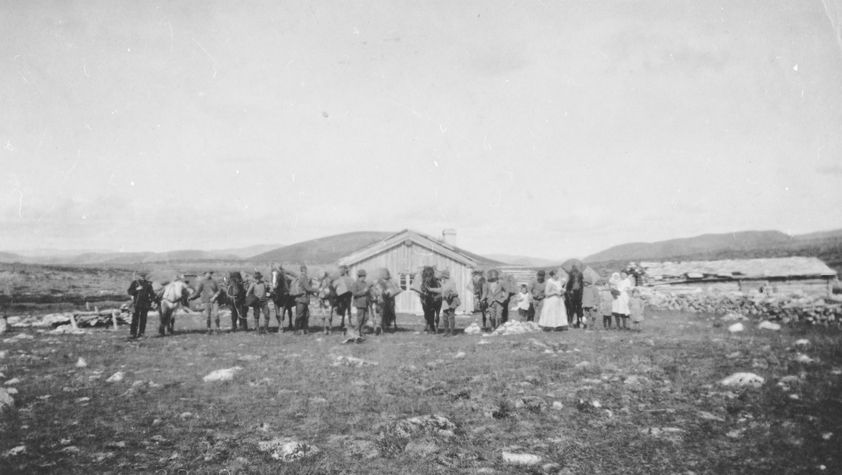 Høifjellskommisjonen 1918 med hester og kløvkarer på Neslundsetra (Vetlsølnsetera)