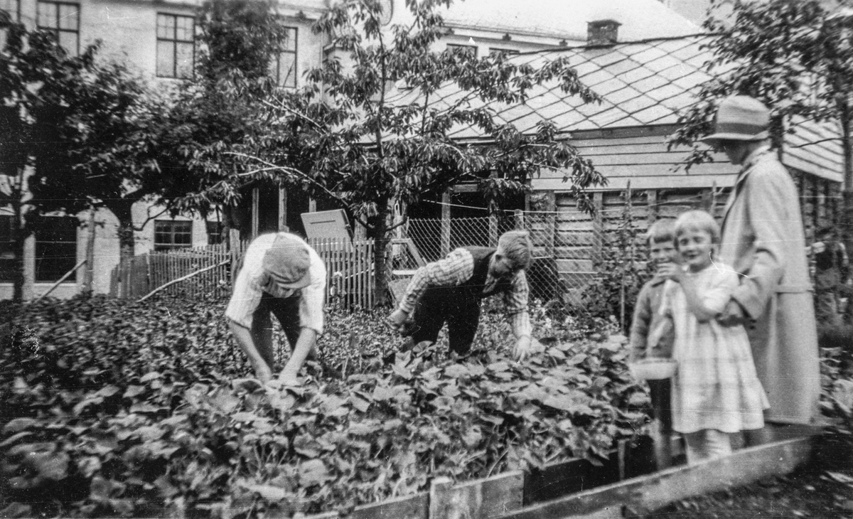 Familien Breistein sel grønsaker i gartneriet på Bakka.