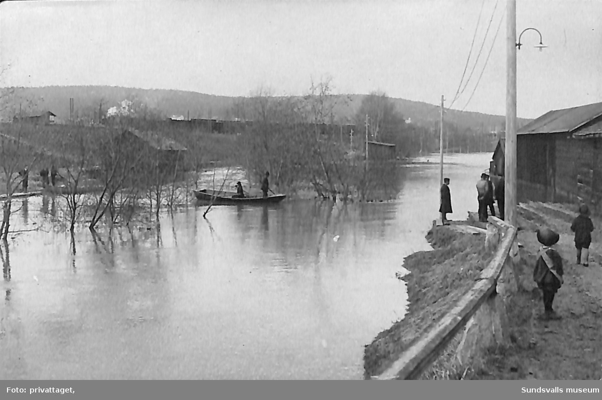Vykort med motiv av ett vattendrag som svämmat över. Text på baksidan: Översvämningen i Sundsvall 1919.
